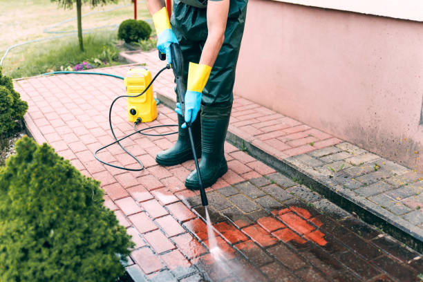 Best Pressure Washing Driveway  in Albion, MI