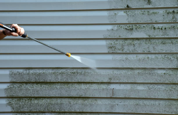 Best Roof Power Washing Services  in Albion, MI