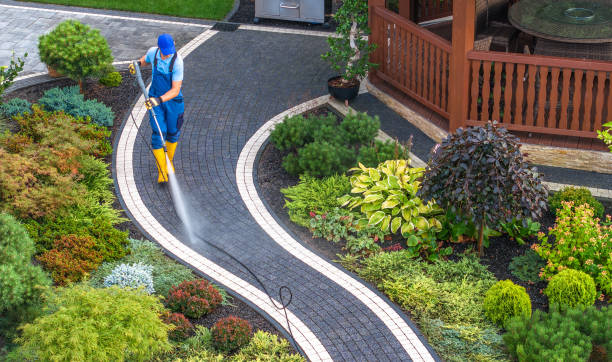 Best Pressure Washing Services for Businesses  in Albion, MI